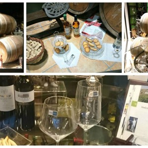 Guanyadors del IV Concurs d'Aparadors de la Mostra del Vi de l'Empordà 2015