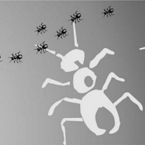 Arriben les fotografies del taller de Nadal dels Amics dels Museus Dalí als comerços de Figueres.