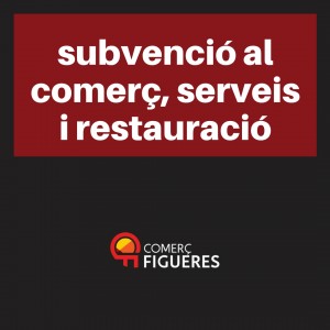 Subvencions pel comerç, serveis i restauració 2017