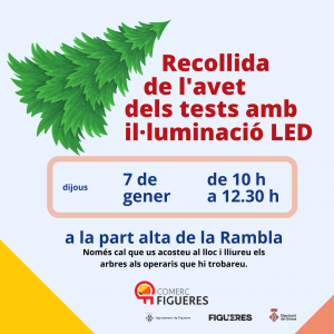 Recollida de l'avet  o apadrina el teu avet