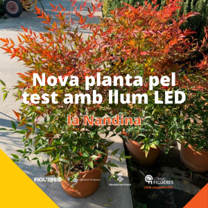 Nova planta pel test amb llum LED